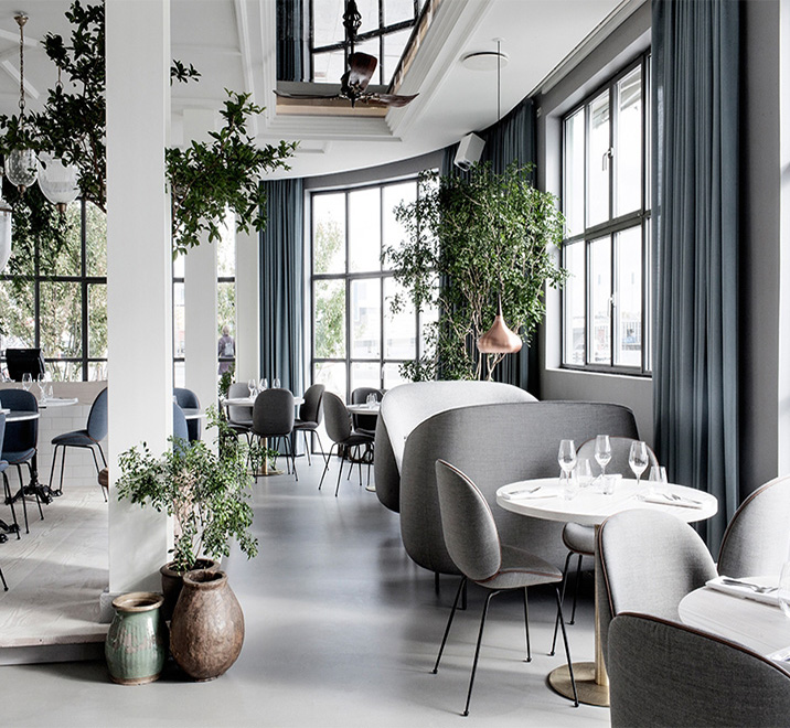 El minimalismo escandinavo en el interior complementa esplendor verde olivo y techo de espejo en un restaurante ecléctico. Concepto esléctico de un cafe moderno.