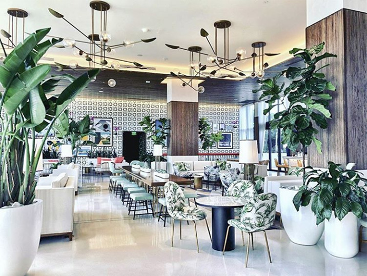 Un cafe de estilo ecléctico con ricos tonos de verde y muchas plantas. Las plantas generan ambientes más vitales. Diseño de cafeterías.